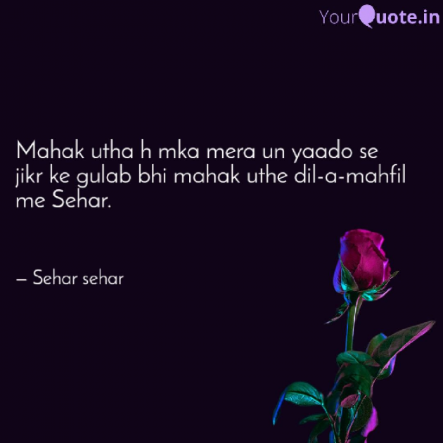 English Shayri by Sehar Sehar : 111088775