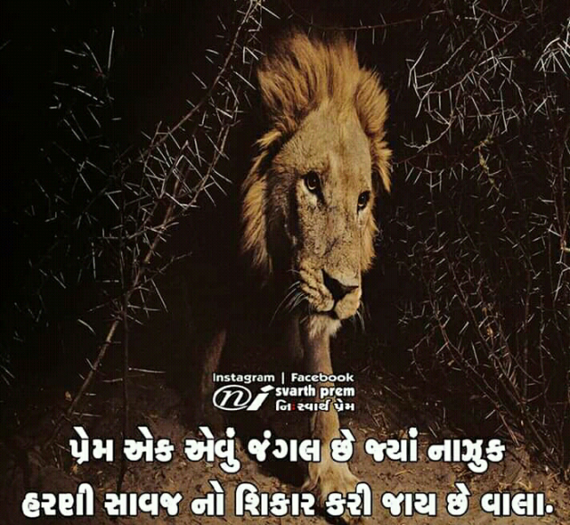 Gujarati Shayri by Gadhadara Jayou : 111088782