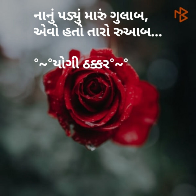 Gujarati Shayri by yogi thakkar : 111088784