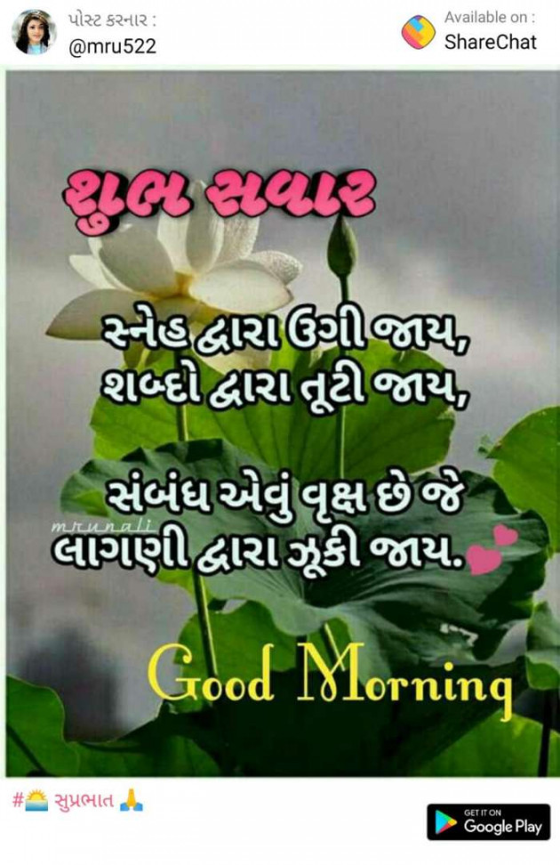 Gujarati Quotes by Parmar Narvirsinh : 111088987