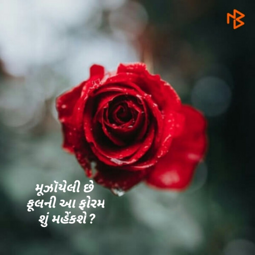 Post by Patel Foram on 08-Feb-2019 09:39am