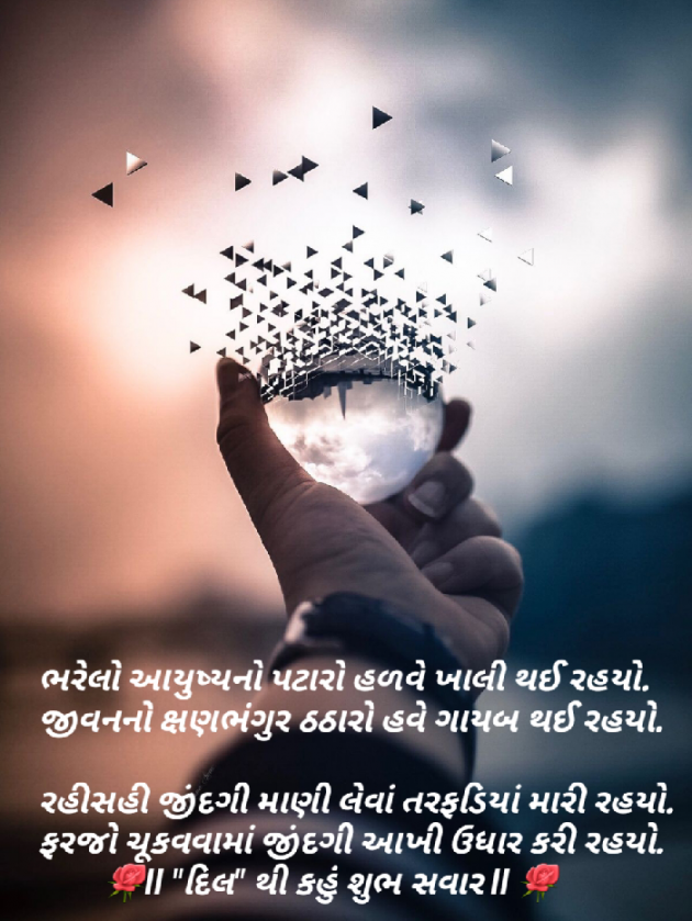 Gujarati Quotes by Dakshesh Inamdar : 111089167