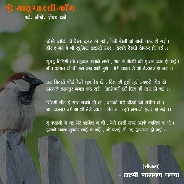 Hindi Shayri by MB (Official) : 111089824