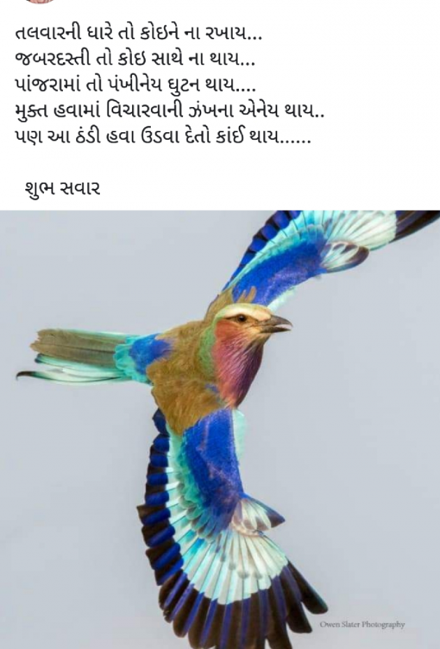 Gujarati Blog by Nisha Sindha : 111090277