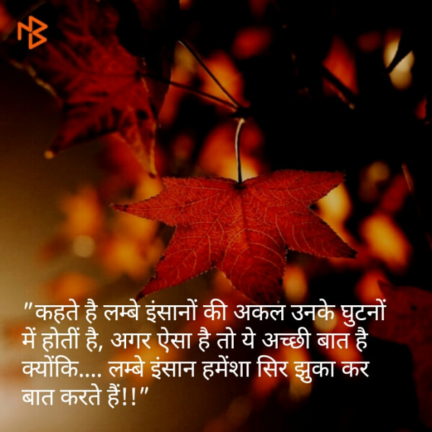 Hindi Quotes by Shaihla Ansari : 111090611