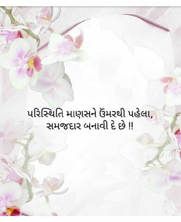 Gujarati Good Night by Dhara Visariya : 111091049