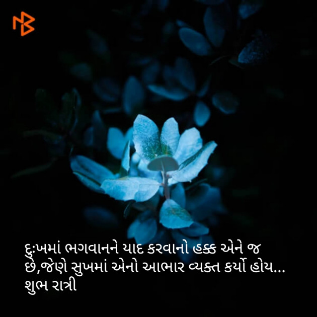 Gujarati Good Night by Ashish Rana : 111091062