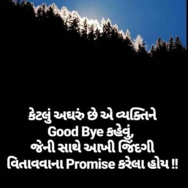 Gujarati Good Night by Parmar Narvirsinh : 111091111