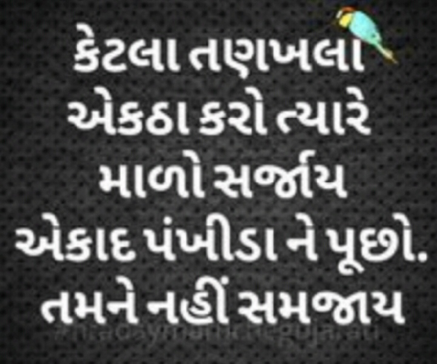 Gujarati Good Morning by P N Gadhavi : 111091164