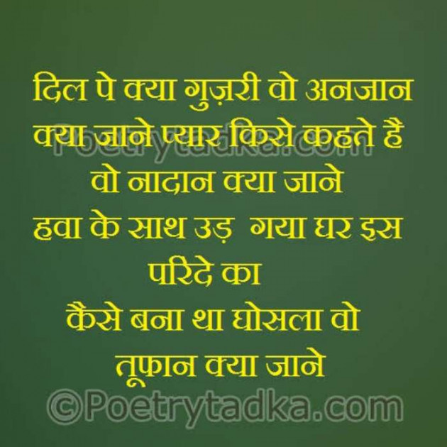 Gujarati Quotes by Sanjay K Parmar : 111091865