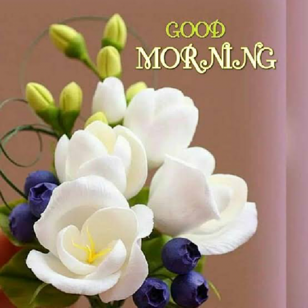 English Good Morning by Mahesh Modh : 111091885