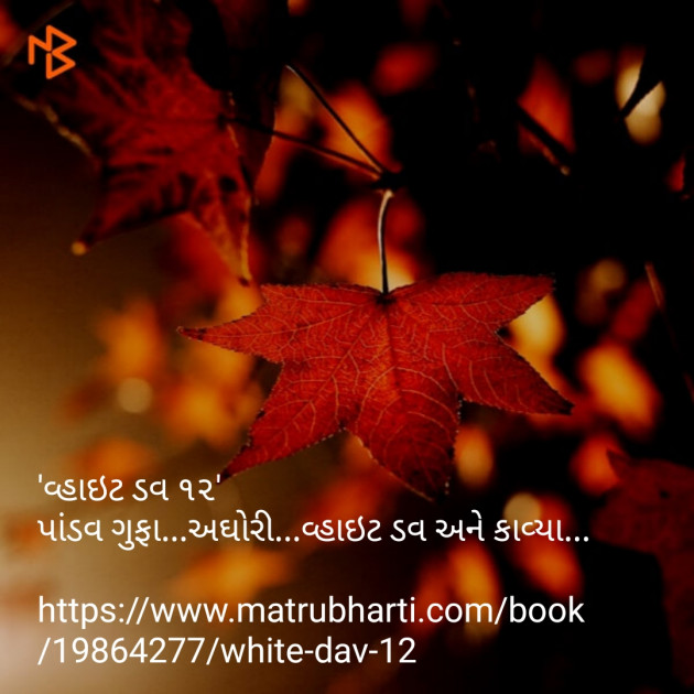 Gujarati Book-Review by Niyati Kapadia : 111092045