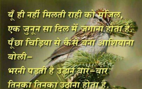 Post by Anurag Parmar on 14-Feb-2019 10:58am