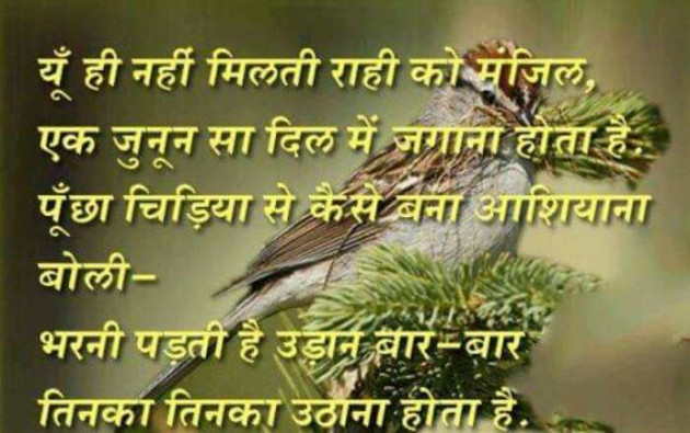 Gujarati Shayri by Anurag Parmar : 111092604