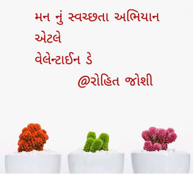 Gujarati Shayri by Joshi Rohit : 111092684