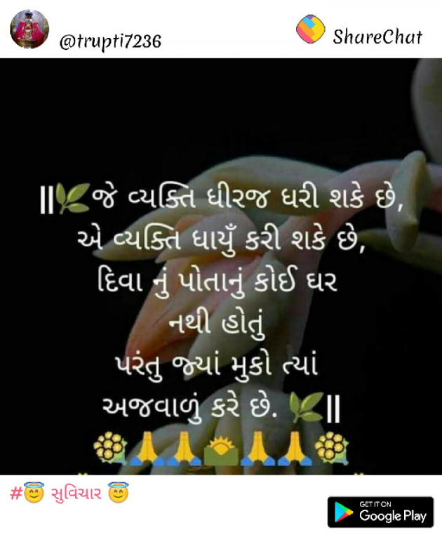 Gujarati Quotes by DIPTI : 111092797