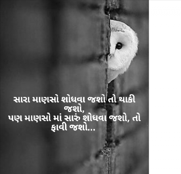 Gujarati Quotes by Mahesh Prajapati : 111093326