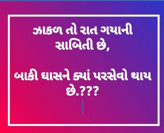 Gujarati Shayri by kadam raju : 111093464
