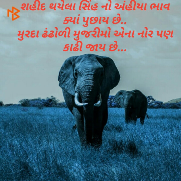 Gujarati Motivational by Nilesh Modhvadiya : 111093601