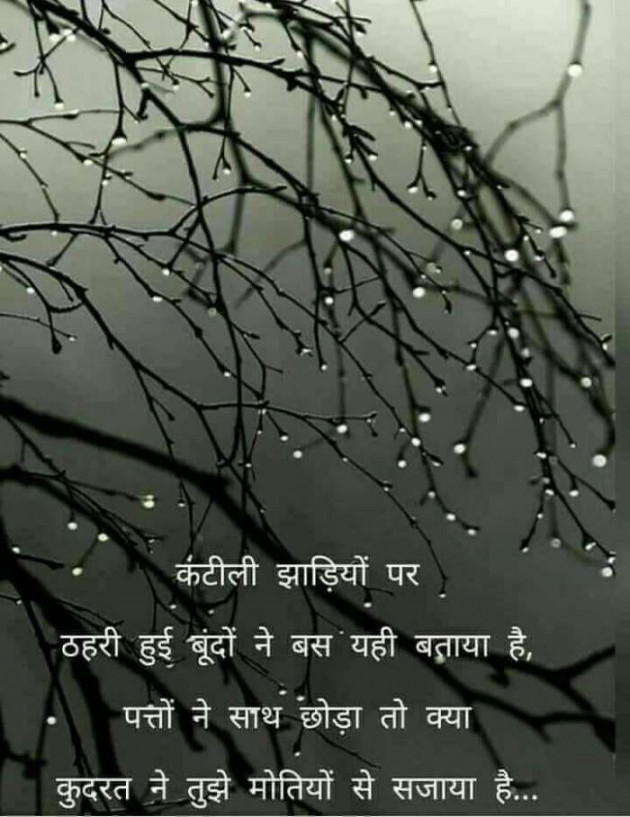 Gujarati Shayri by kadam raju : 111093705