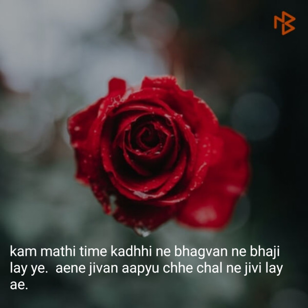 Gujarati Quotes by Kapil Chhaiya : 111094389