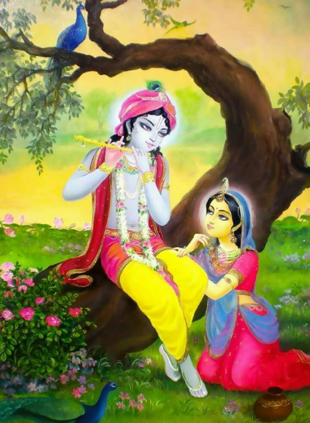 Gujarati Shayri by The Boss : 111094426
