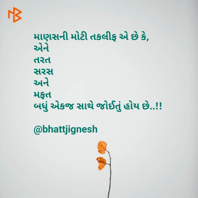 Gujarati Blog by JIGNESH BHATT : 111094473