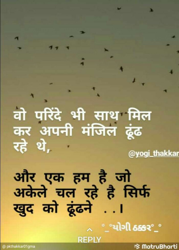 Gujarati Shayri by yogi thakkar : 111095184