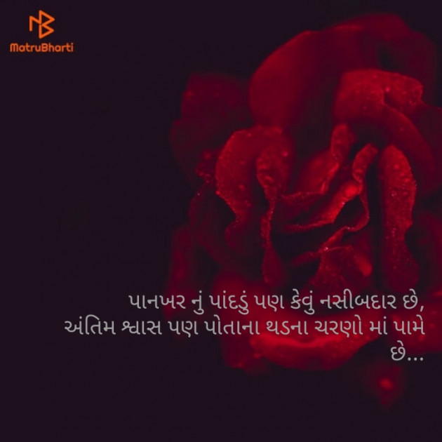 Gujarati Good Night by naresh patel : 111095277