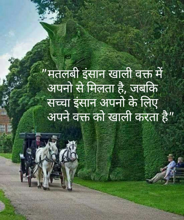 Hindi Quotes by Shaihla Ansari : 111095459