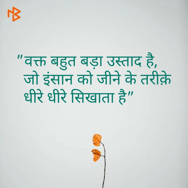 Hindi Quotes by Shaihla Ansari : 111095672