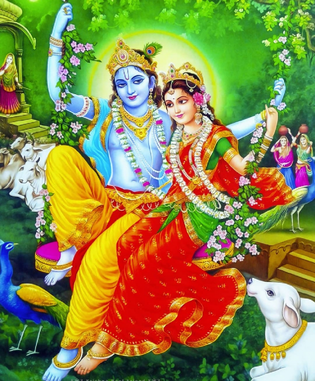 Gujarati Shayri by The Boss : 111095675