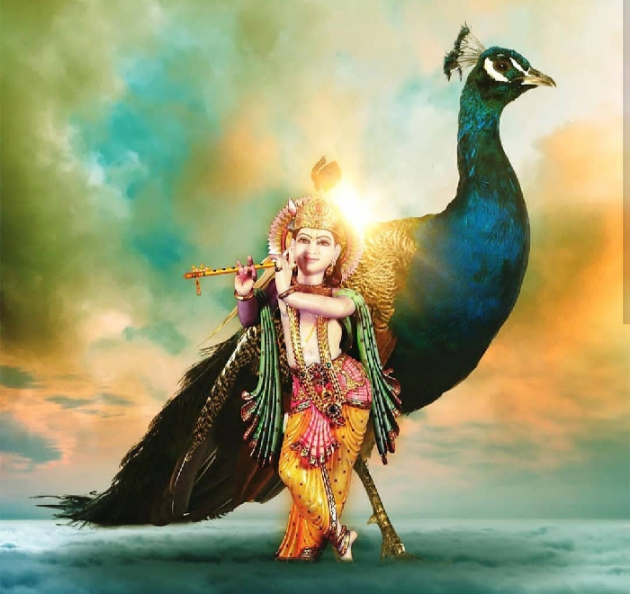 Gujarati Shayri by The Boss : 111095690