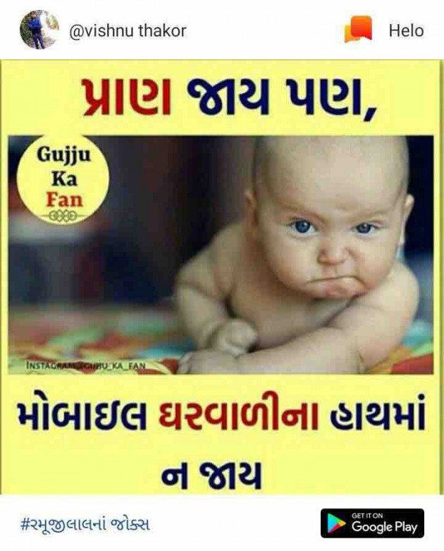 Gujarati Jokes by shah : 111095918