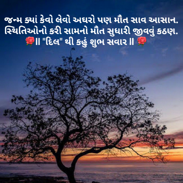 Gujarati Quotes by Dakshesh Inamdar : 111096175