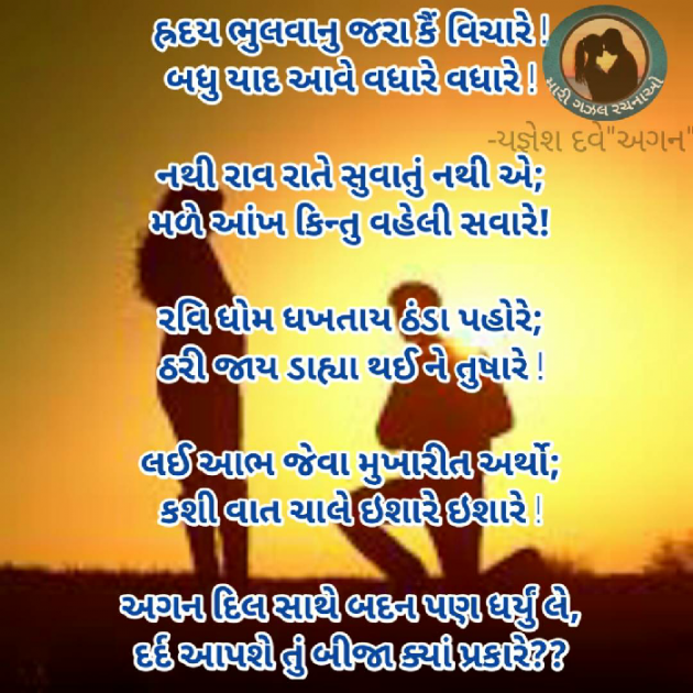 Gujarati Shayri by Yagnesh Dave : 111096344