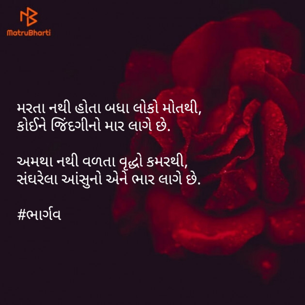 Gujarati Shayri by Er.Bhargav Joshi અડિયલ : 111096715