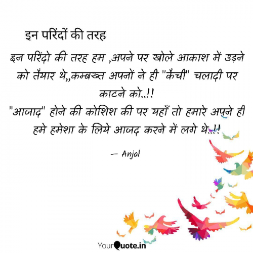 Post by Anjal on 21-Feb-2019 07:22am