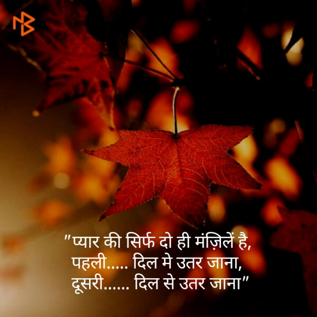 Hindi Shayri by Shaihla Ansari : 111097103