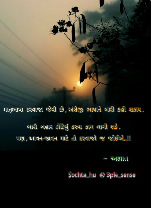 Gujarati Book-Review by Gadhadara Jayou : 111097137