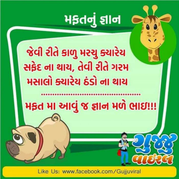 Gujarati Jokes by Jignasha Parmar : 111097385