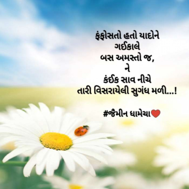 Gujarati Romance by Jaimeen Dhamecha : 111097608