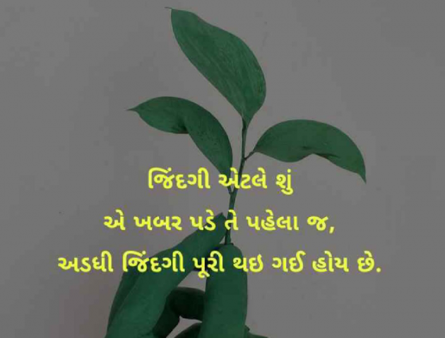 Gujarati Motivational by Sarika : 111097672