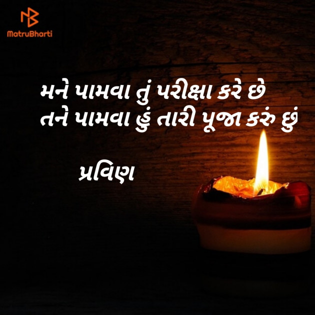 Gujarati Shayri by Pravin.. : 111098144