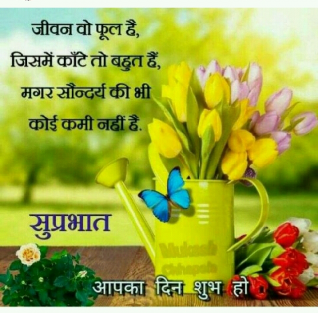Gujarati Shayri by Bharat Sinh Mahida : 111098298