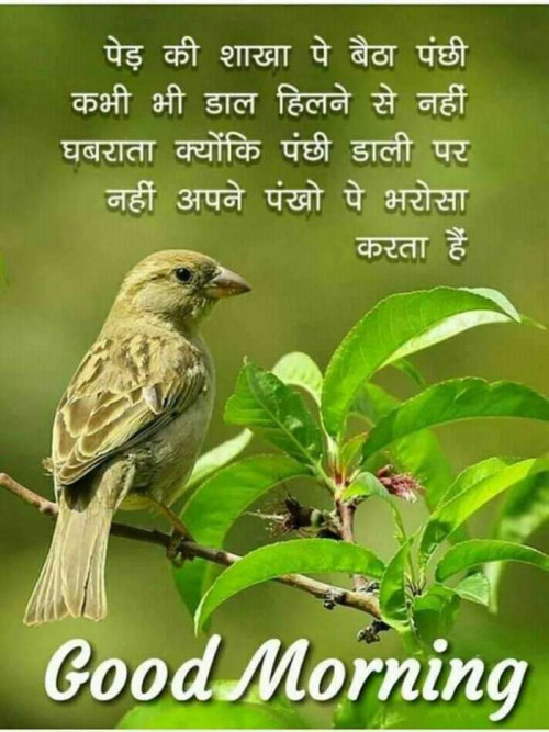 Post by Liyakat Diwan on 23-Feb-2019 08:35am