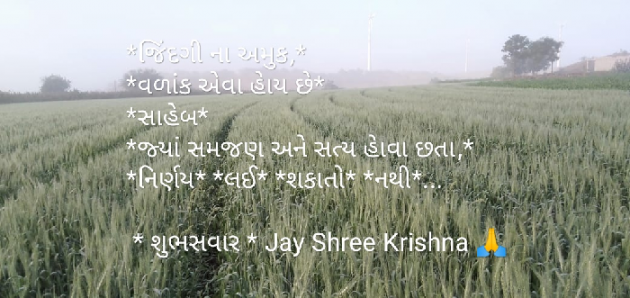 Gujarati Good Morning by SMChauhan : 111098397