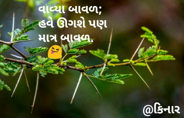 Gujarati Hiku by Kinar Rana : 111098557