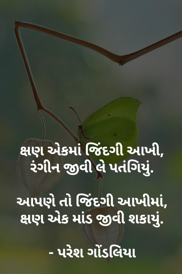 Gujarati Good Morning by PARESH GONDALIYA : 111098737