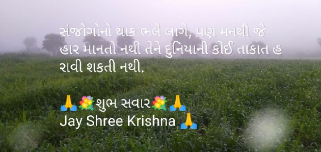 Gujarati Good Morning by SMChauhan : 111098978